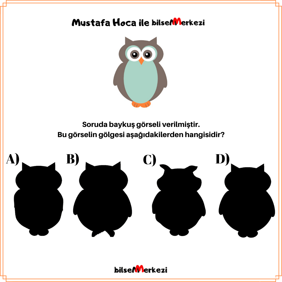 MKL1_T03 MKL1 GolgesiniBul Question 0006 Answer D - MKL1_T03