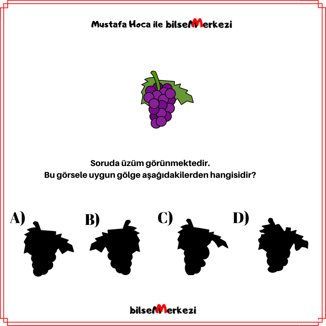 Gölge MKL1 GolgesiniBul Question 0001 Answer A 1 - Gölge
