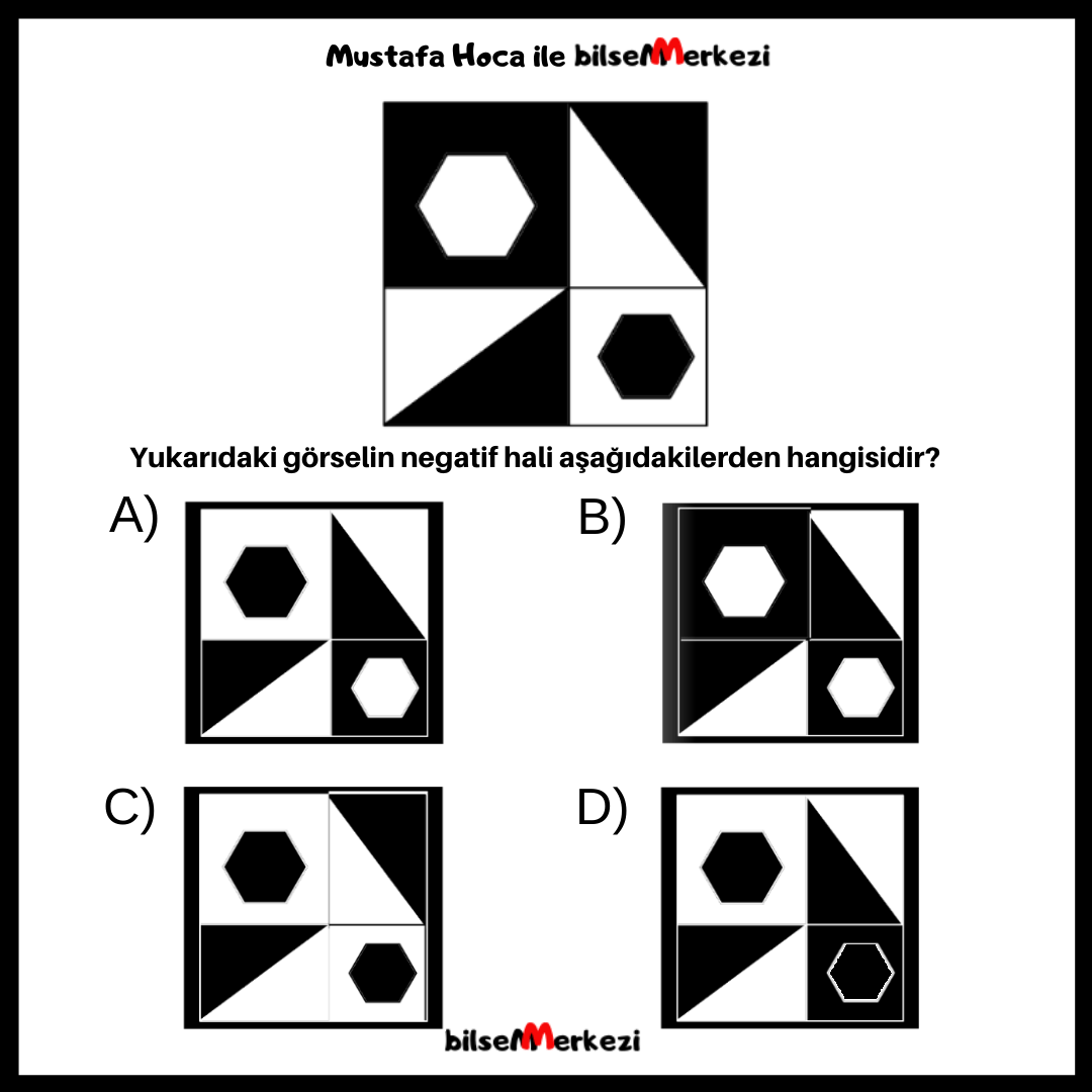 Negatifini Bul (MKL1) MKL1 NegatifiniBul Question 0004 Answer A - Negatifini Bul (MKL1)